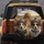 Corgi Dogs Beanies Sunglasses Autumn Landscape - Adventure Journey Gift Spare Tire Cover - 5