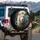 Majestic White Lion Golden Smoke - Car Decor Gift for Wildlife Lovers Spare Tire Cover - 3