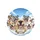 Happy Pitbull Dog Group Blue Sky Clouds - Dog Lover Gift Spare Tire Cover - 4