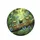 Expressive Tree Frogs Blue Butterflies Tropical Rainforest - Wildlife Lover Gift Spare Tire Cover - 4
