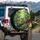 Expressive Tree Frogs Blue Butterflies Tropical Rainforest - Wildlife Lover Gift Spare Tire Cover - 3