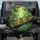 Expressive Tree Frogs Blue Butterflies Tropical Rainforest - Wildlife Lover Gift Spare Tire Cover - 1