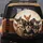 Seven Fawn Black Tan Chihuahua Dog Portrait - Pet Parent Home Decor Gift Spare Tire Cover - 5