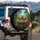 Comical Surprise Bengal Tigers Tropical Jungle - Wildlife Lover Gift Spare Tire Cover - 3