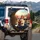 Chihuahua Dogs Dashboard Road Trip - Dog Lover Car Accessory Spare Tire Cover - 3