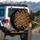 Vibrant Monarch Butterflies Cluster with Spreading Wings - Wildlife Lover Gift Spare Tire Cover - 3