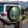 Majestic Peacock Iridescent Tail Garden Flowers - Wildlife Lover Gift Spare Tire Cover - 3