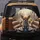Chihuahua Group Control Panel Cityscape Lounge Scene - Travel Essentials Dog Lover Gift Spare Tire Cover - 5