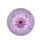 Purple Water Lily Lotus Butterflies Vine Flowers - Nature Lover Gift Spare Tire Cover - 4