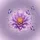 Purple Water Lily Lotus Butterflies Vine Flowers - Nature Lover Gift Spare Tire Cover - 6