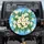 White Daisy Cluster Green Leaves Sky Blue - Home Decor Gift for Garden Lover Spare Tire Cover - 1