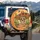 Sugar Skull Sombrero Floral Desert Cactus - Fiesta Celebration Gift Spare Tire Cover - 3