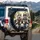 Husky Dogs Aviator Sunglasses Tropical Street Scene - Adventure Lover Gift Spare Tire Cover - 3