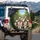 Five English Bulldogs Outdoor Journey Landscape - Dog Lover Gift for Bulldog Enthusiasts Spare Tire Cover - 3