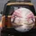 Winding River Cherry Blossom Landscape Pink Flowers - Home Decor Gift Spare Tire Cover - 5