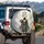 Golden Sword Warrior White Lion Celestial - Travel Essentials Gift Spare Tire Cover - 3