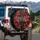 Realistic Red Dragonfly Translucent Wings Lush Red Lilies Starry Sky - Wildlife Lover Gift Spare Tire Cover - 3