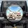 Fluffy White Dogs Car Road Trip with Sunglasses - Travel Essentials Dog Lover Gift Spare Tire Cover - 1