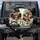 Papillon Dogs Luxury Car City Drive - Road Trip Pet Lover Gift Spare Tire Cover - 1