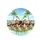 Dogs Sunglasses Coastal Road Palm Trees - Summer Vacation Travel Gift for Dog Lover Spare Tire Cover - 4