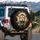 Roaring Lion Head Gold Splashes - Wildlife Lover Gift for Adventure Seeker Spare Tire Cover - 3