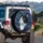 Tuxedo Cat Swirling Foliage - Home Decor Gift for Cat Lover Spare Tire Cover - 3