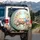 Fluffy Baby Birds Spring Flowers Garden Rainbow - Wildlife Lover Gift Spare Tire Cover - 3