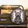 Expressive Smiling Pitbull Dog Paws Forming Clean Heart - Pet Lover Gift for Dog Owners Spare Tire Cover - 2