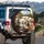 Bichon Frise Dogs Urban Park Car Ride - Dog Lover Gift Spare Tire Cover - 3