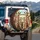 Five Giraffes Vehicle Interior Suburban Road Trip - Wildlife Lover Travel Gift Spare Tire Cover - 3