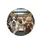 Dogs in Car Urban Drive - Road Trip Companion for Dog Lover Spare Tire Cover - 4