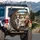 Dogs in Car Urban Drive - Road Trip Companion for Dog Lover Spare Tire Cover - 3