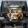 Dogs in Car Urban Drive - Road Trip Companion for Dog Lover Spare Tire Cover - 1