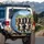 Smiling Border Collies Herding Dogs – Outdoor Adventure Gift for Dog Lovers Spare Tire Cover - 3