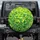 Vibrant Green Shamrock Clover Foliage Tapestry - Nature Lover Outdoor Vehicle Decor Gift Spare Tire Cover - 1