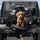 Small Golden-Brown Puppy Bright Eyes Dark Upholstery Interior - Dog Lover Gift Spare Tire Cover - 1
