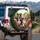 Happy Pit Bull Dogs Car Interior Outdoor Scene - Dog Lover Gift for Pit Bull Lovers Spare Tire Cover - 3