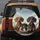 Three Dachshunds Puppy Car Journey Sky Vista - Dachshund Lover Gift Spare Tire Cover - 5