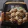 Goldendoodle Labradoodle Dogs Vehicle Interior Suburban Street - Dog Lover Gift Spare Tire Cover - 5