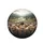 Capybara Group River Valley Landscape - Wildlife Lover Gift Spare Tire Cover - 4
