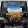 Bengal Cats with Glasses Steering Wheel Road - Cat Lover Gift Spare Tire Cover - 1