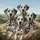 Four Dalmatian Dogs Spotted Coats Amber Eyes Rolling Hills Scenic Vista - Dog Lover Gift Spare Tire Cover - 6