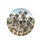 Four Dalmatian Dogs Spotted Coats Amber Eyes Rolling Hills Scenic Vista - Dog Lover Gift Spare Tire Cover - 4