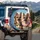 German Shepherds Sunglasses Desert - Adventure Dog Lover Gift Spare Tire Cover - 3