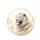 White Lion Head Golden Eyes Flowing Fur Ethereal Gold Swirls - Wildlife Lover Gift Spare Tire Cover - 4