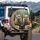 British Shorthair Cats Bandana Glasses Steering Wheel - Cat Lover Gift Spare Tire Cover - 3