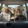 Brown Tabby Ginger Cats Driving Vehicle - Road Trip Fun Gift for Cat Lovers Spare Tire Cover - 6