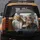 Brown Tabby Ginger Cats Driving Vehicle - Road Trip Fun Gift for Cat Lovers Spare Tire Cover - 5