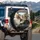 Brown Tabby Ginger Cats Driving Vehicle - Road Trip Fun Gift for Cat Lovers Spare Tire Cover - 3