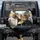 Brown Tabby Ginger Cats Driving Vehicle - Road Trip Fun Gift for Cat Lovers Spare Tire Cover - 1